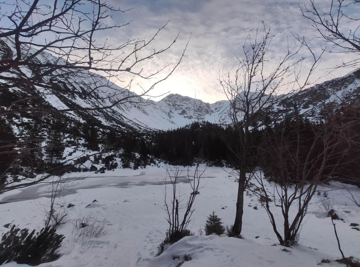 Western Tatras Slovakia Oravsky Biely Potok Экстерьер фото