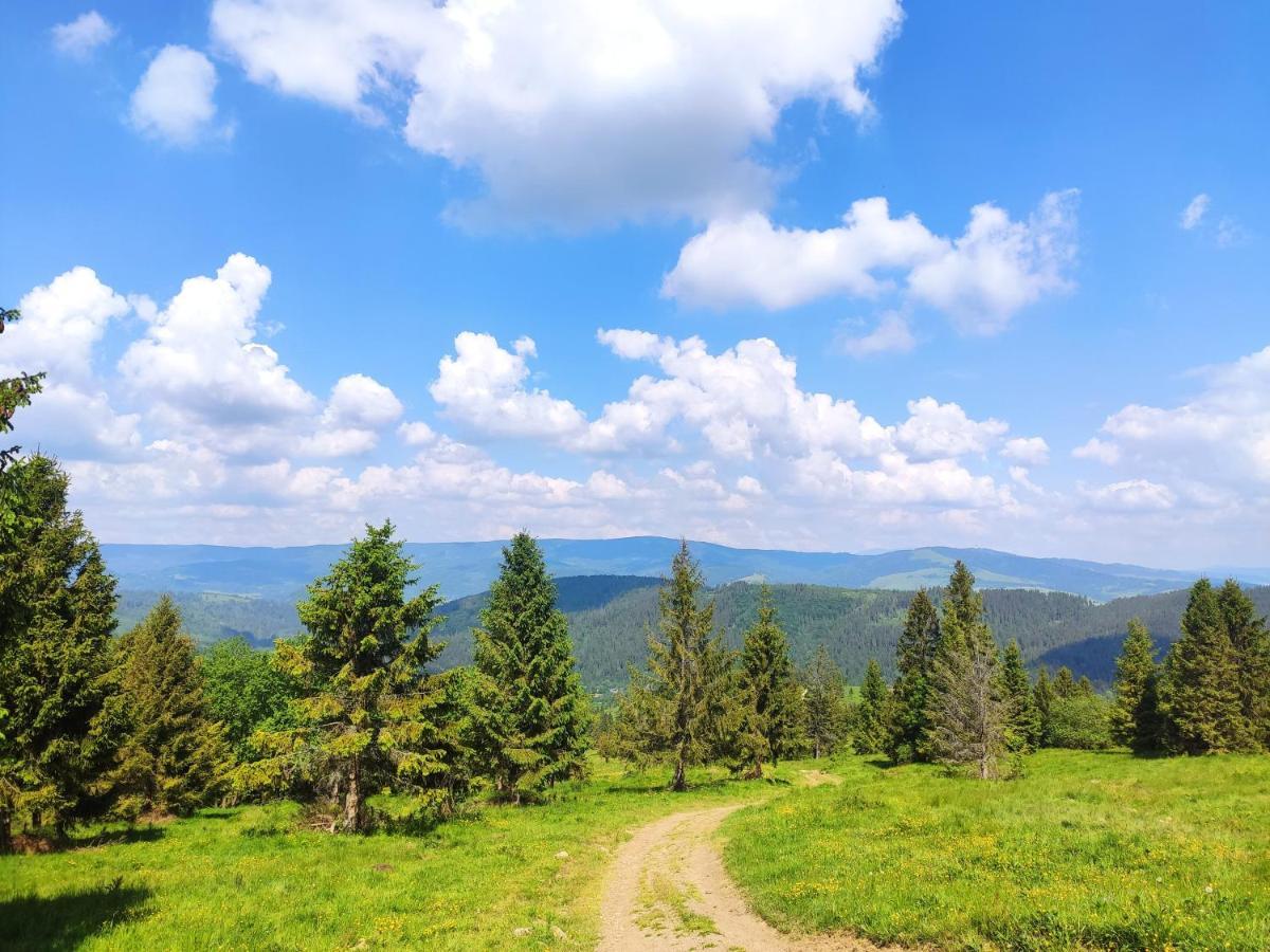 Western Tatras Slovakia Oravsky Biely Potok Экстерьер фото